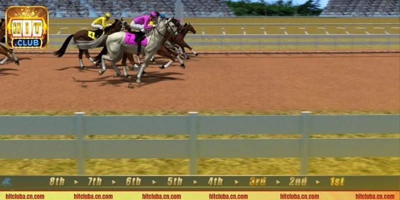 Có rất nhiều thể thức cược game đua ngựa tại HITCLUB.