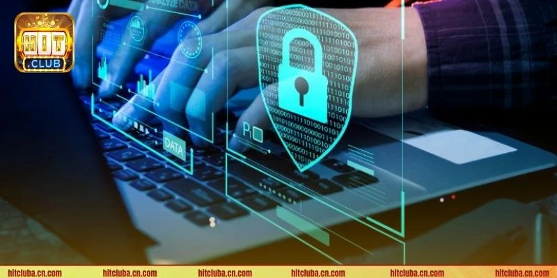 HIT CLUB thu thập thông tin bằng nhiều phương thức. 