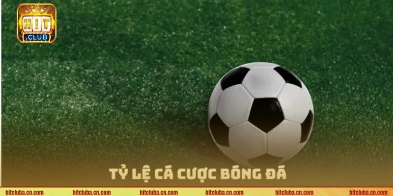 Tỷ lệ cá cược trực tuyến là thông tin quan trọng bet thủ cần nắm bắt. 